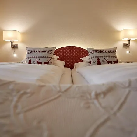 Garni Schneider فندق مبيت وإفطار ليش ام ارلبرغ