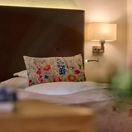 Oda ve Kahvaltı Garni Schneider 3*